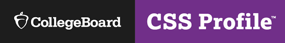 Click top open CSS Profile.
