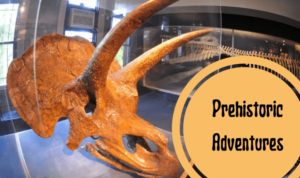 Triceratops skull, Prehistoric Adventures